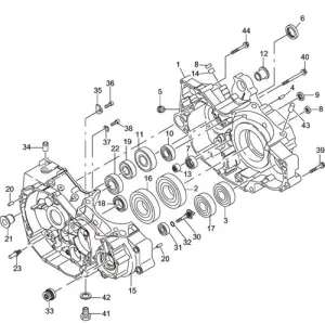 450 Sport Crankcase