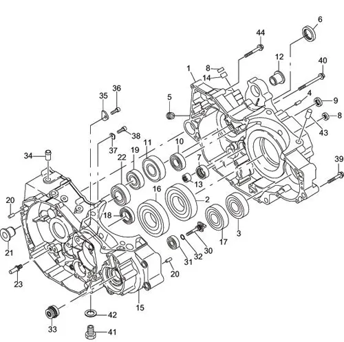 450 Sport Crankcase