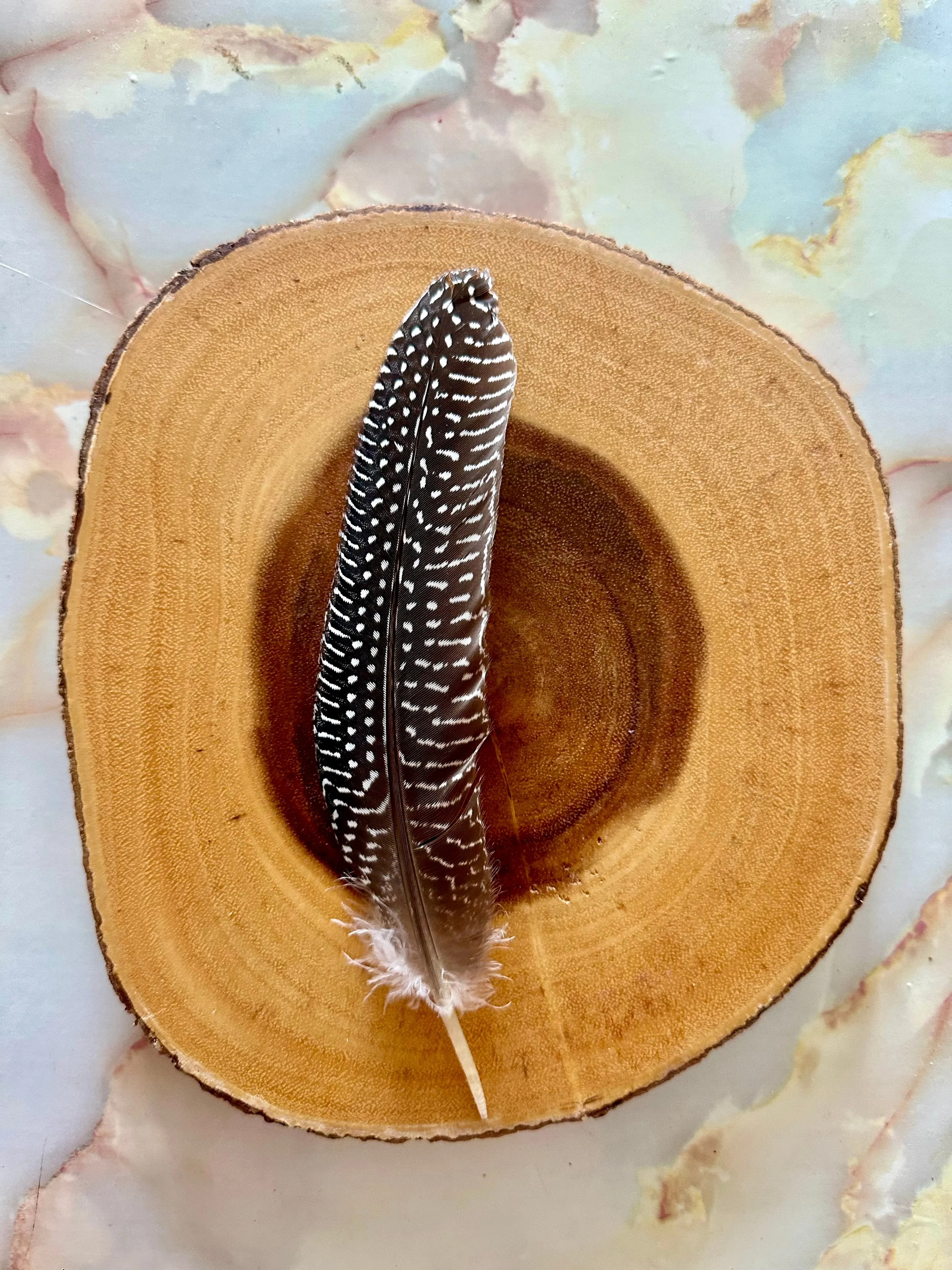 Feather 79