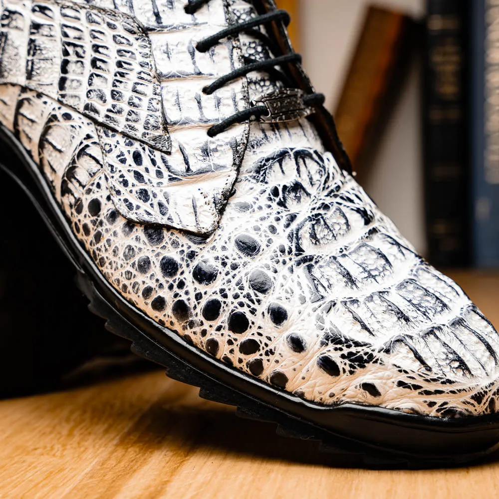Marco Di Milano Kratos in Newspaper Caiman Crocodile Sneakerd