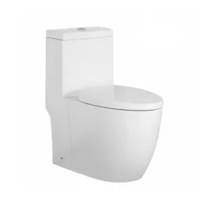 Sleek Complete Dual Flush One Piece Toilet - Floor Mount - 14" Porcelain/White